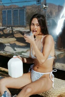 Zepplin Cheeky Bikini Bottom -Dippin Daisys Shop ZEPPLIN BOTTOM SILVER3